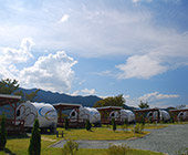 Paddington Bear Campground