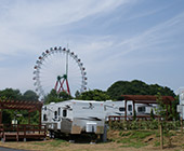 Paddington Bear Campground